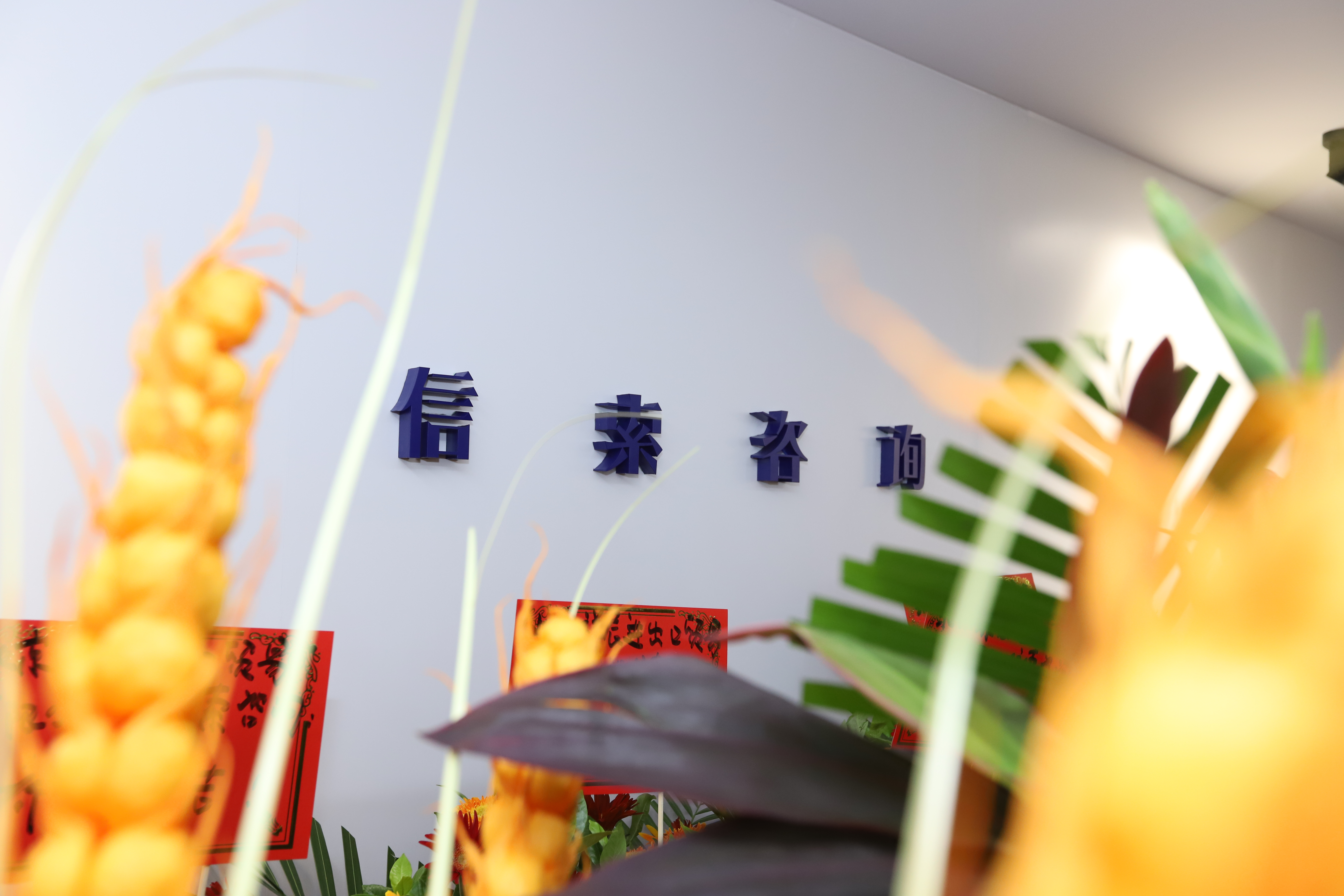 mg冰球突破(中国)官方网站