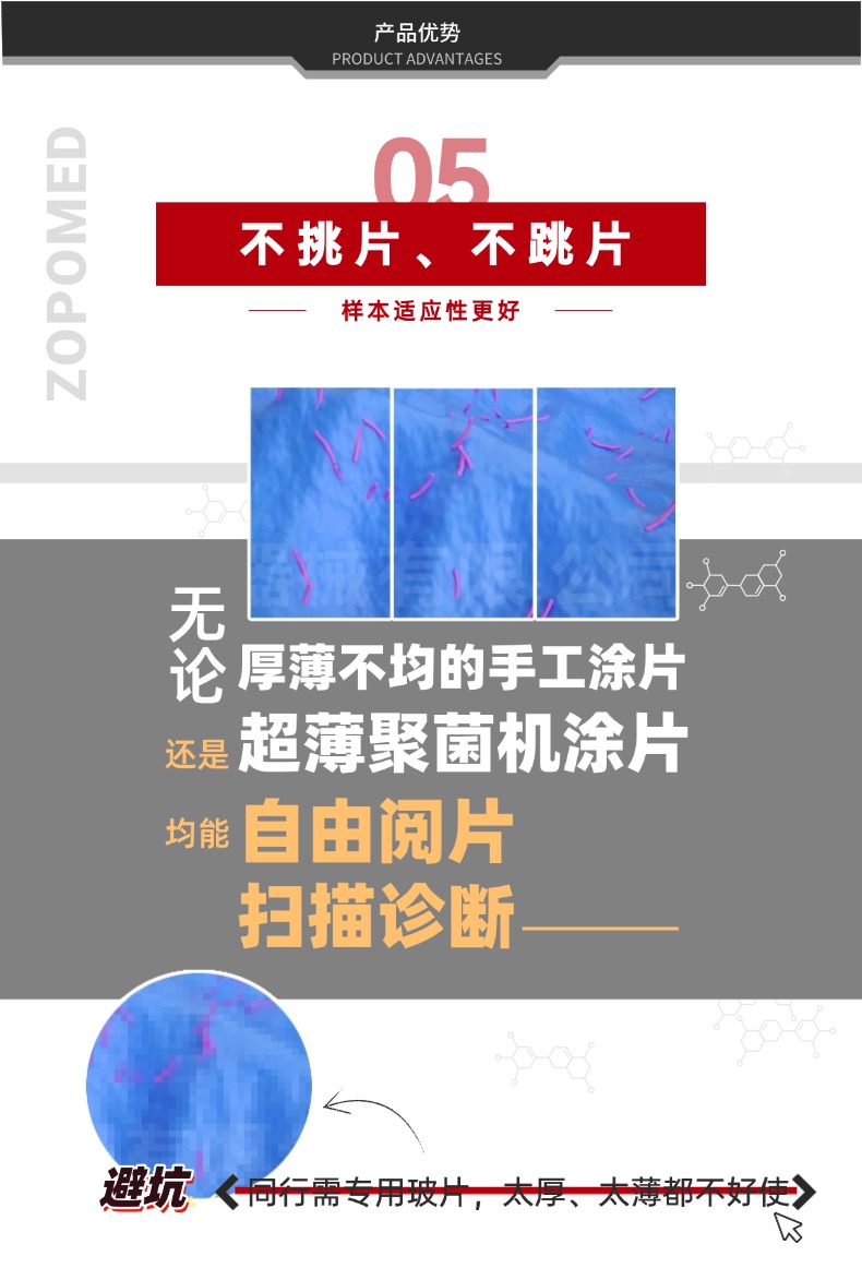优惠活动办理大厅 -首页